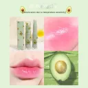 C Avocado