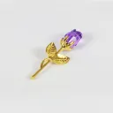 Golden Purple Flower