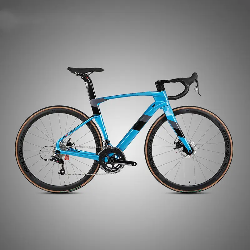 Fully Hidden Carbon Fiber Disc Brake Road