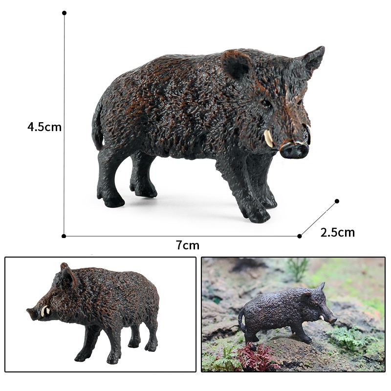 Wild boar