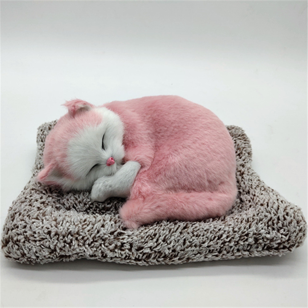 Pink sleeping cat