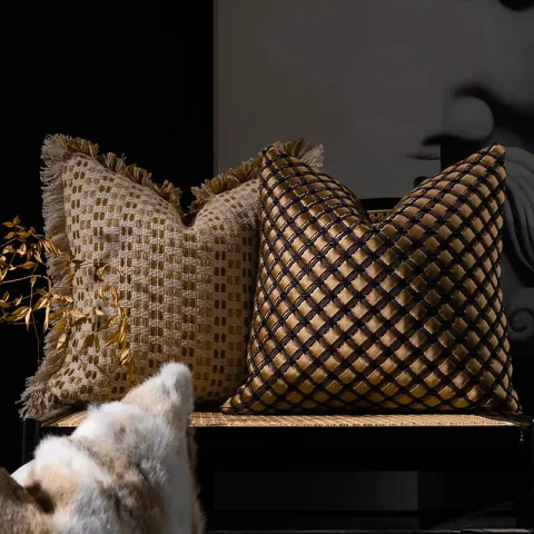 Woven Throw Pillows in Sofa Living Room