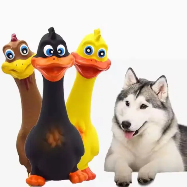 Latex Screaming Chicken Toys Eco Friendly TPR Pet Squeaky Dog Interactive Play Chew Toys 3Pack - Shop at LoveMi