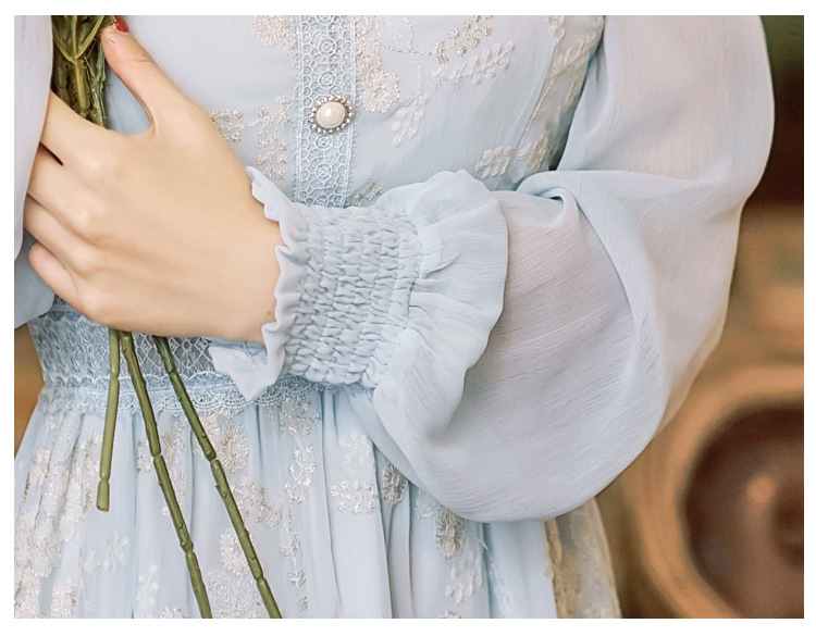 Embroidered Chiffon Long Sleeve Dress, picture 8 of 9