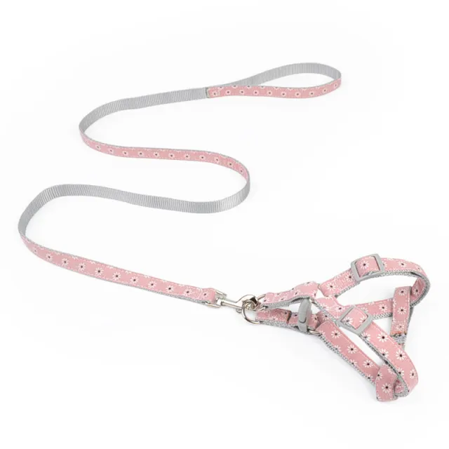 Walking The Dog With Traction Rope On Chest And Back Red - Shop at LoveMi