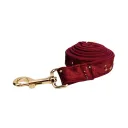 Dog Leash1