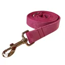 Dog Rope