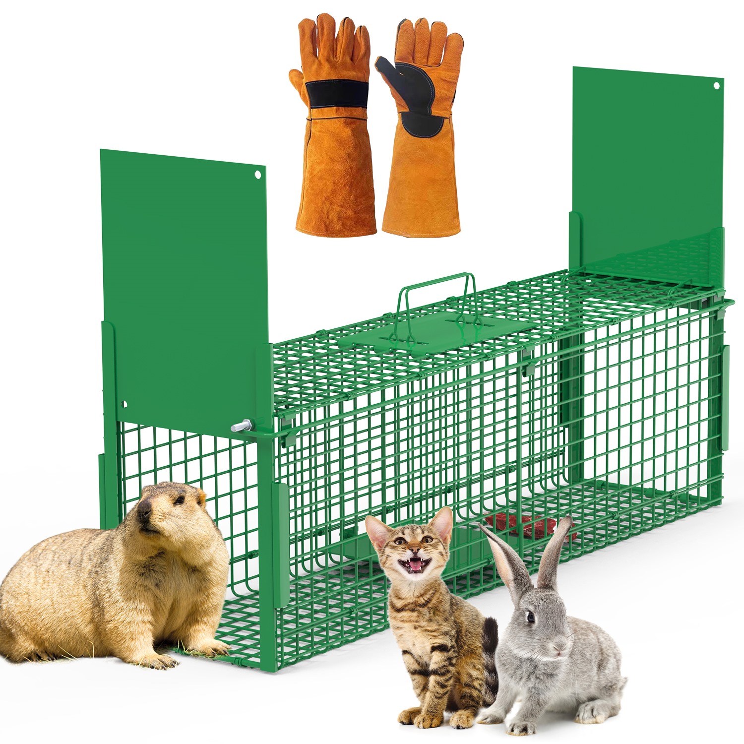 32in 2 Door Live Animal Cage Trap With Glove Green For Animals Under 12LBS Easy To Setup Humane Galvanized Iron Trap Cage For Rabbits Groundhogs Skunk Opossums Nutria Stray Cats 5