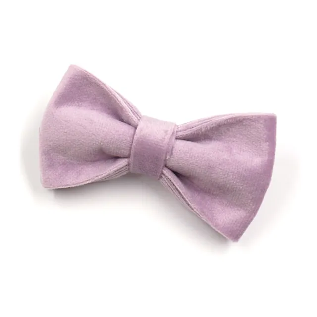 Dark Grey Velvet Pet Collar Leash Purple Tie - Shop at LoveMi