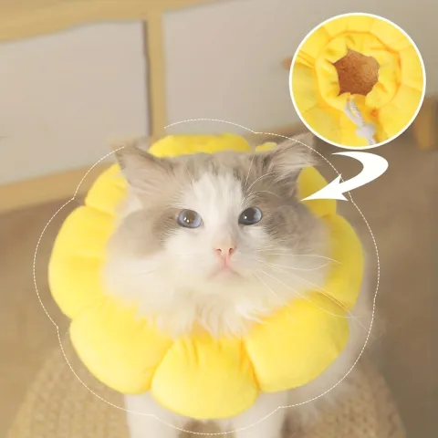 Cat Small Dog Recovery Collar