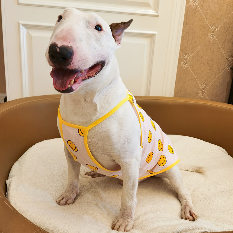 Lovely Fashion Simple Smile Pet Camisole