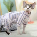 Purple Apricot Stripe
