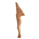 Skin Tone