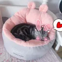 Pink Rabbit Ears