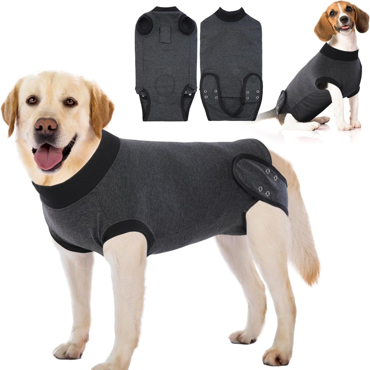 Costume de récupération de chien pour Neuter Spay