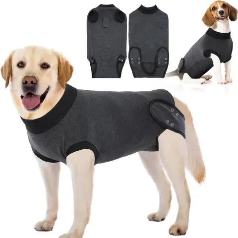 Dog Recovery Suit for Neuter Spay
