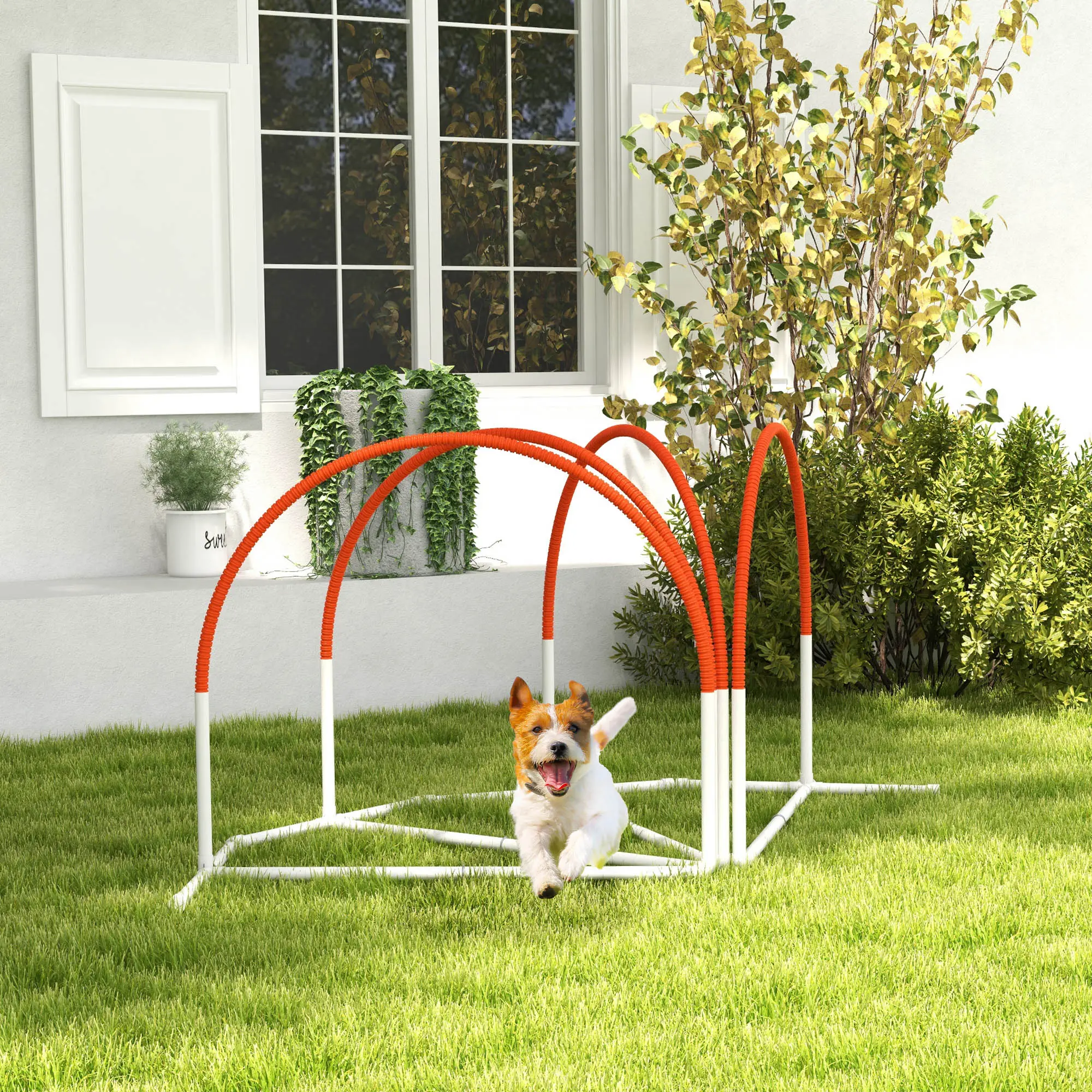 Dog Agility Weave Poles Set Outdoor Training