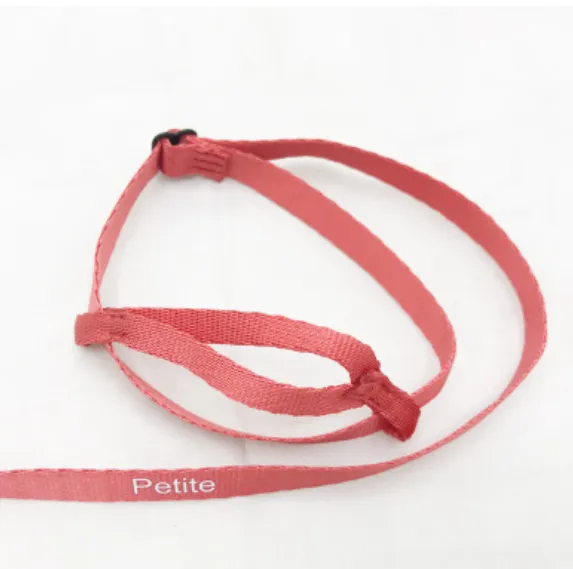 Parrot Flying With Flying Rope And Bird Harness Xxs - Shop at LoveMi