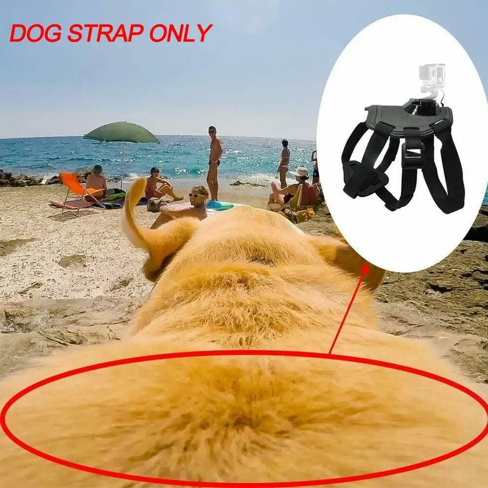 Dog Harness Chest Strap Camera Accessory