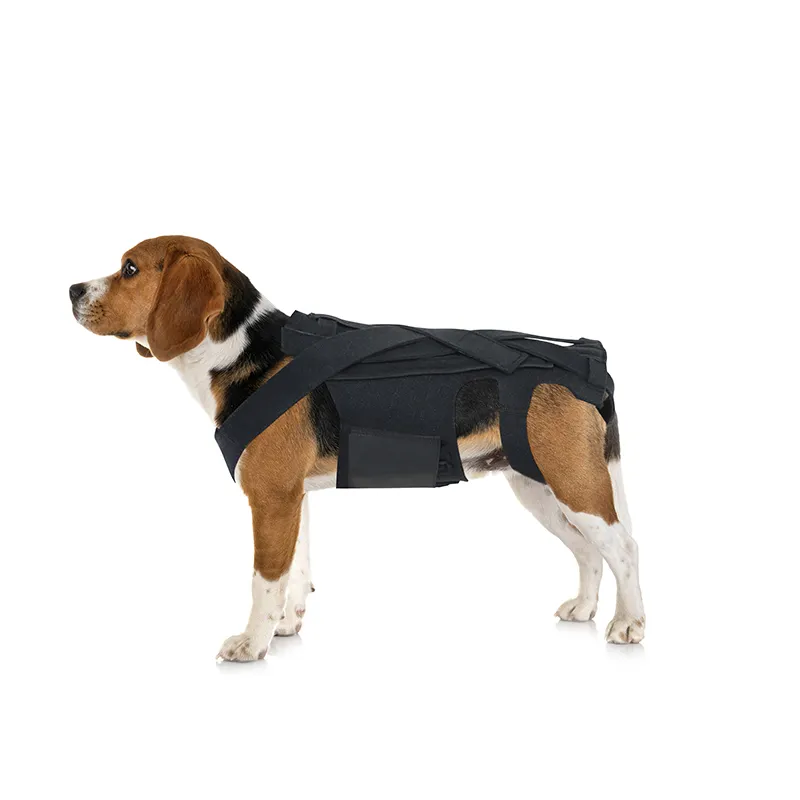 Back Brace For Dogs