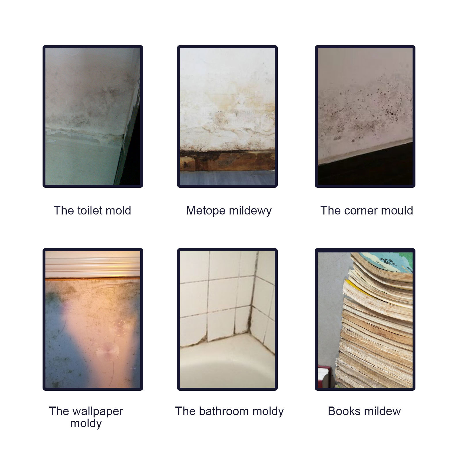 Mildew Spray image 2