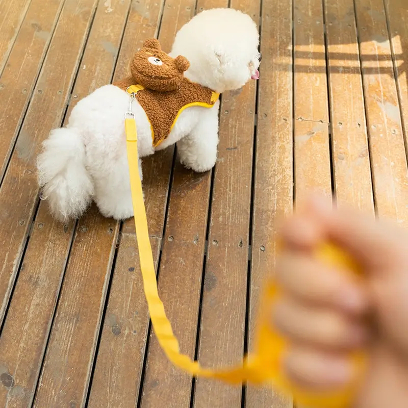 Cat Walking Rope, Vest Style Dog Cartoon Animal Wool Grain Leash, Autumn And Winter Pet Cat Leash