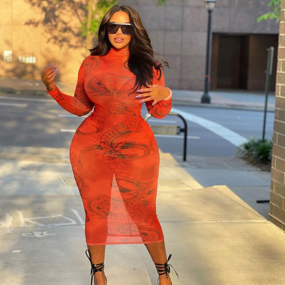 Women's Tight Mesh Print See-through Long Sleeve Dress