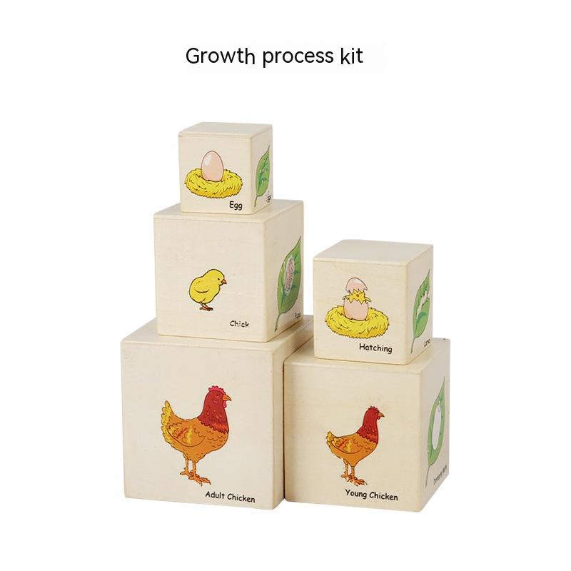 Growth Process Kit