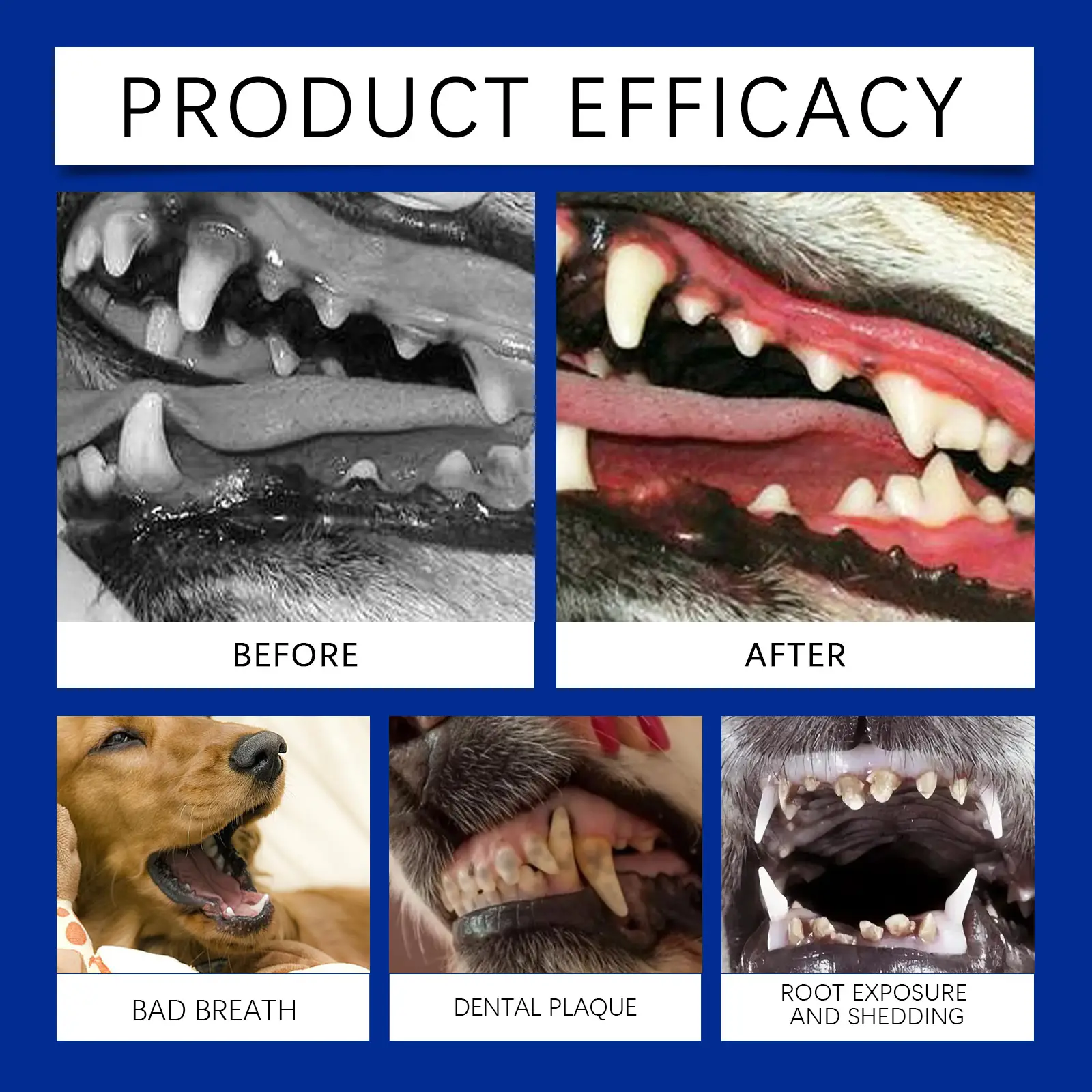 Dog Tooth Cleaning Powder