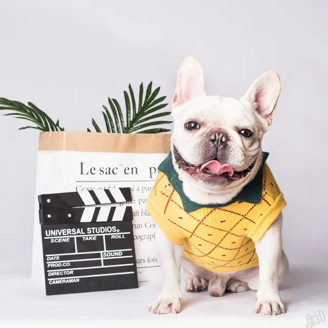 Dog Clothes Yellow - Shop at LoveMi