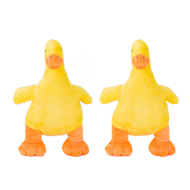 Two ducks