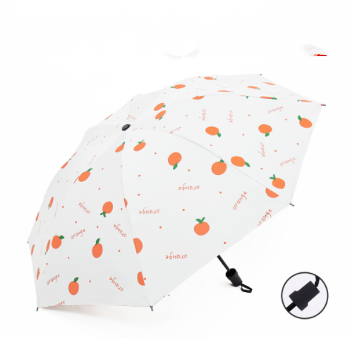 Title 4, Rain Or Shine Sunshade Vinyl Gift Umbrella