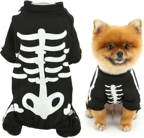 Halloween Dog Costumes for Small Dog Glow in