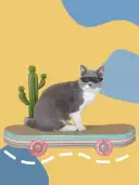 Cool Skateboard