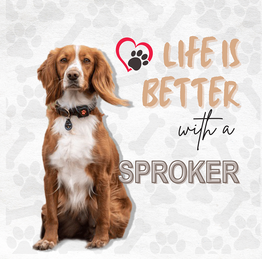 Sprocker