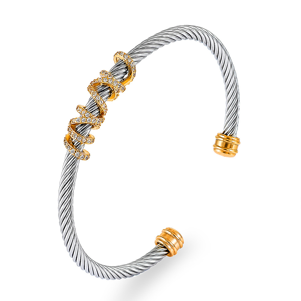 Title 2, Titanium Steel Stranded Cable Bracelet