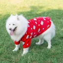 Big Dog Red Cow