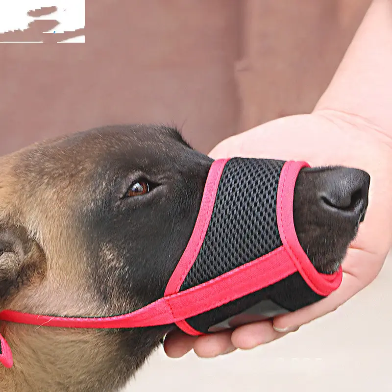 Mouth Cover to Prevent Eating Indiscriminately Large Labrador Dog
