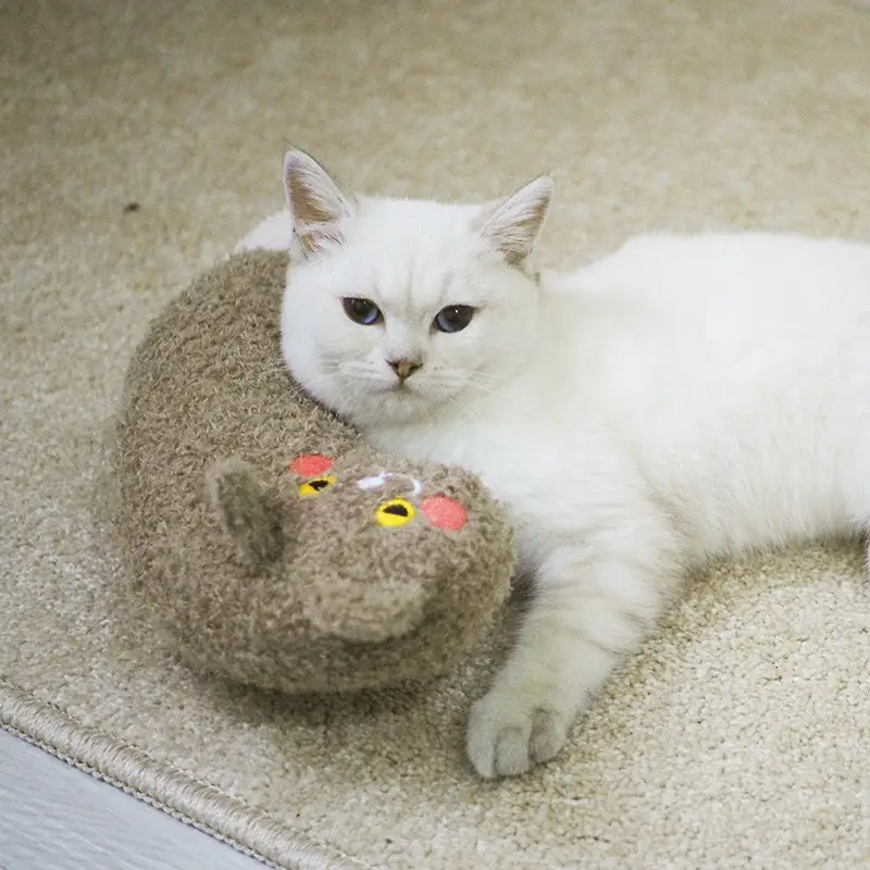 Sleeping Companion Cat Mat Sansheng Meow Pillow