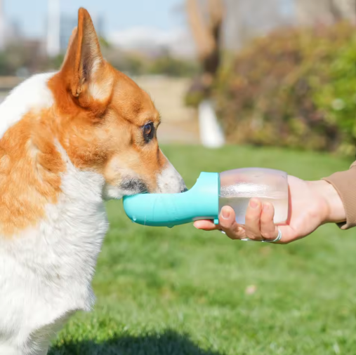Pet Water Cup Outdoor Portable Water Bottle thumbnail 5