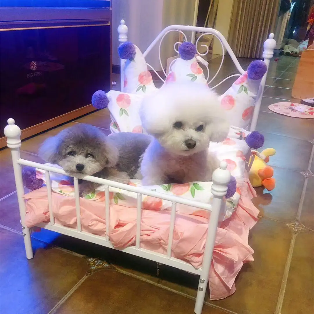 Dog Kennel Cat Pet Hanger Swing Cradle