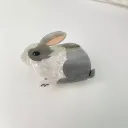 2Grey Rabbit