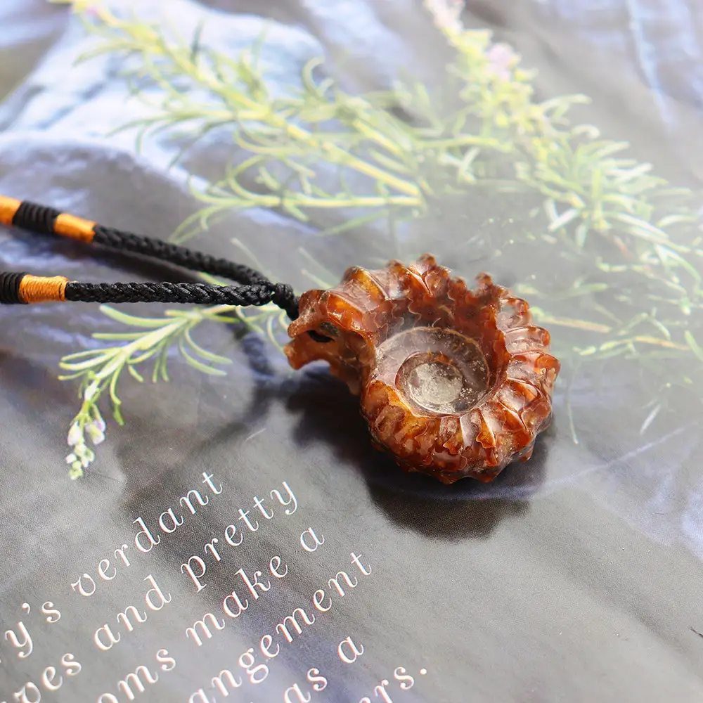 Natural Ram's Horn Conch Fossil Pendant Specimen Necklace