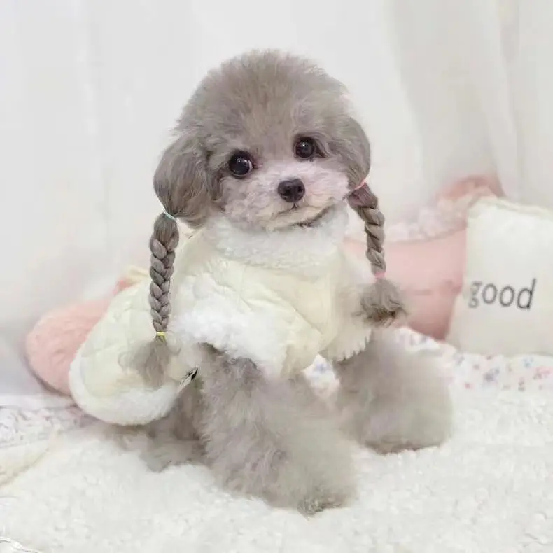 Pet Plush Warm Autumn And Winter Cotton Padded Clothes