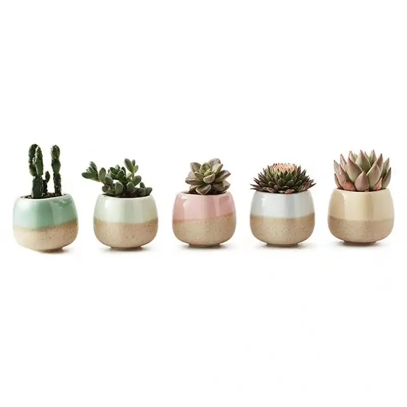 Office Desk Colorful Thumb Succulent Flower Pot