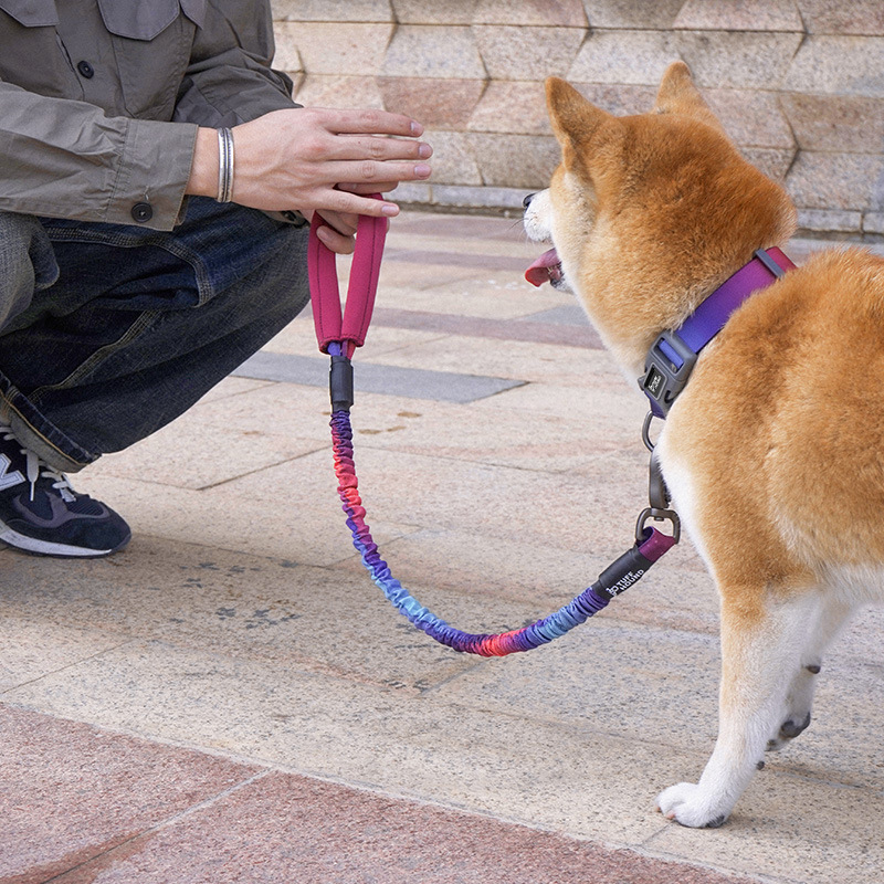 เชือกรัดสัตว์เลี้ยงยืดหยุ่นสูง Simple Pet สำหรับเดินเล่น ป้องกันการหลุด รักษาความปลอดภัยให้กับสัตว์เลี้ยงของคุณ
