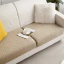 Light Camel Color