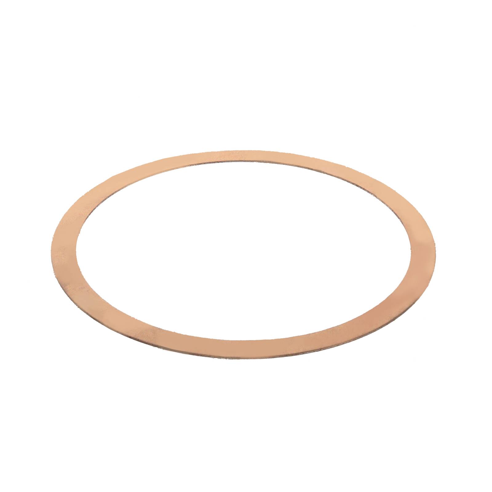 Particulate Filter DPF Gasket For Navistar International 2594129C1 New