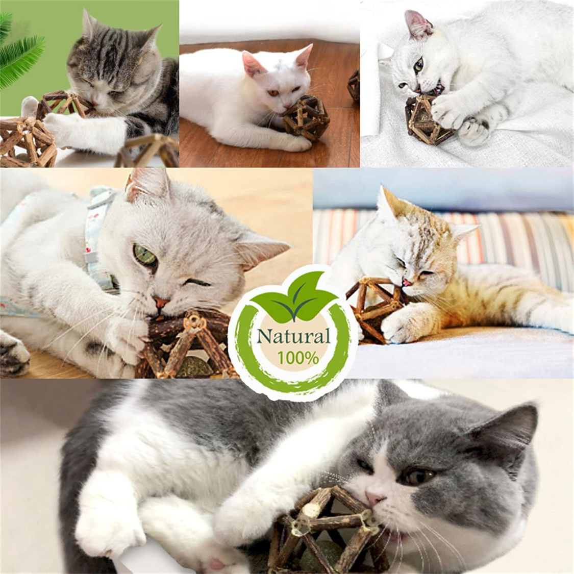 Bâton matatabi chat avec balle cataire et grelot, jouet à mâcher