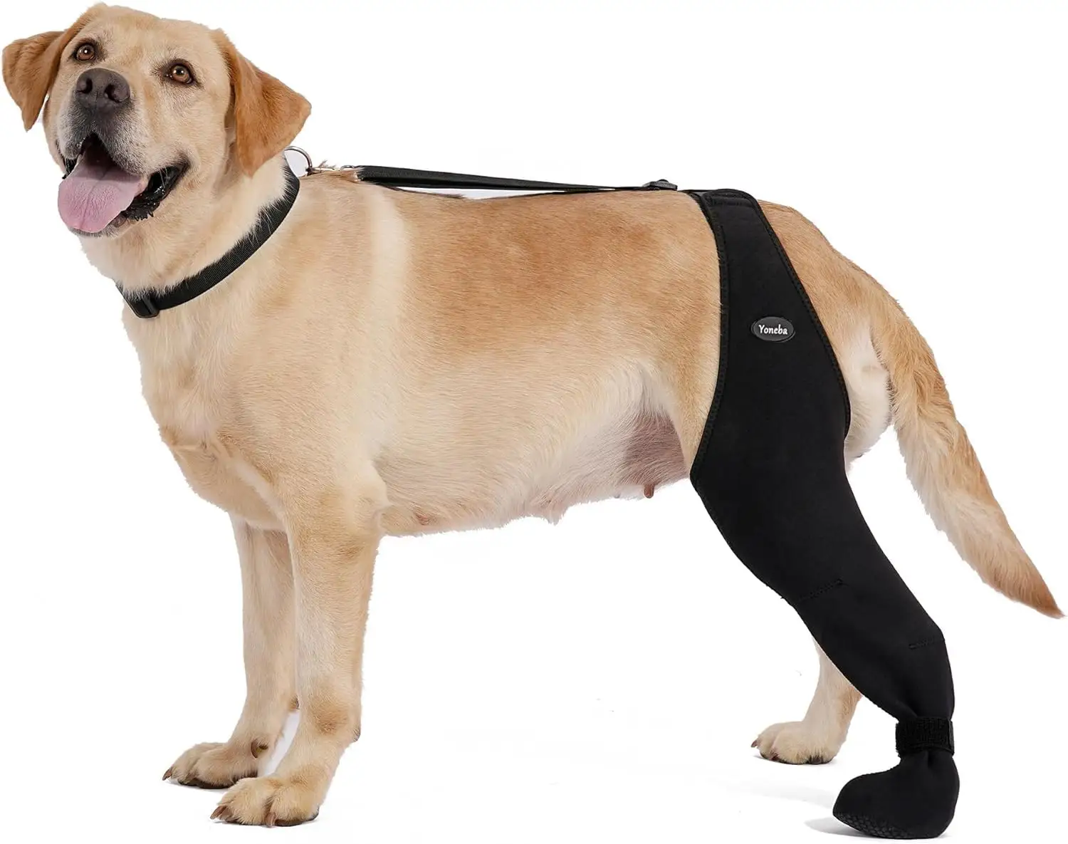 Dog Socks To Prevent Licking Paws, Breathable